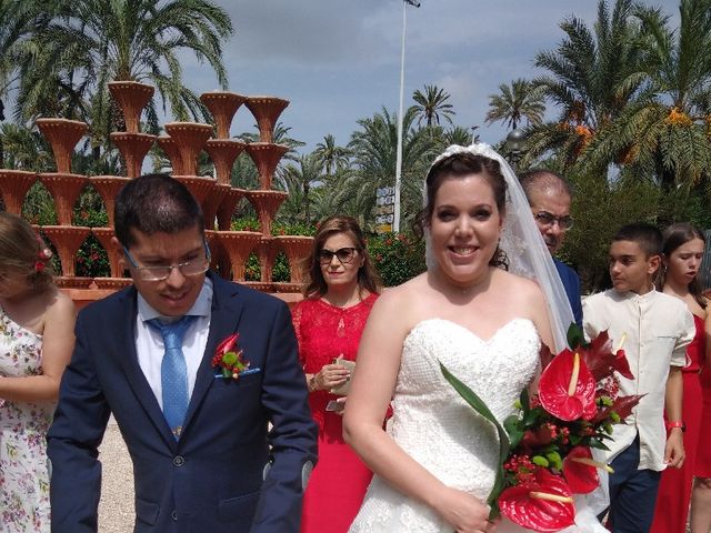 La boda de Jose Antonio y Vanessa en Elx/elche, Alicante 10