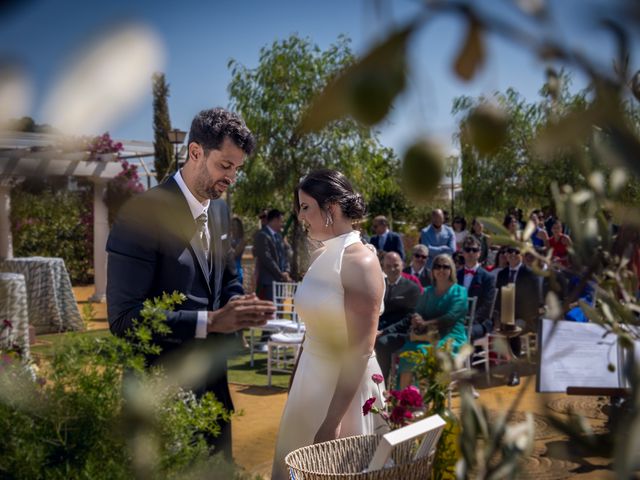 La boda de Claudia y Fran en Mairena Del Alcor, Sevilla 39