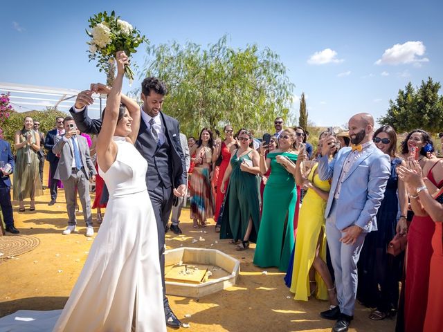 La boda de Claudia y Fran en Mairena Del Alcor, Sevilla 45