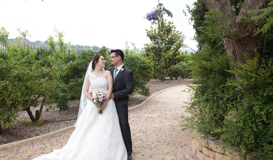 La boda de Sergi y Mª Carmen en Alberic, Valencia