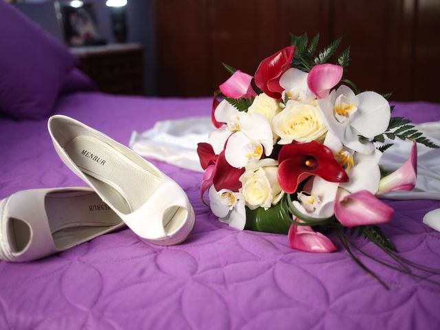 La boda de Adrián  y Beatriz  en Ávila, Ávila 5