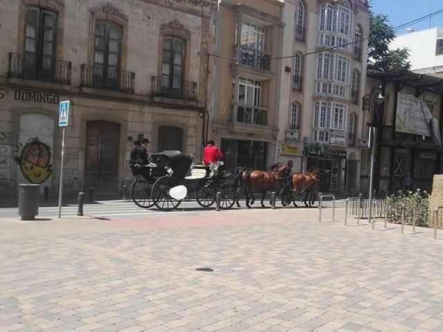 La boda de Julio y Merche en Almería, Almería 17