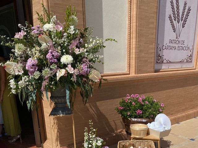 La boda de Lucas y Lucia  en Málaga, Málaga 4