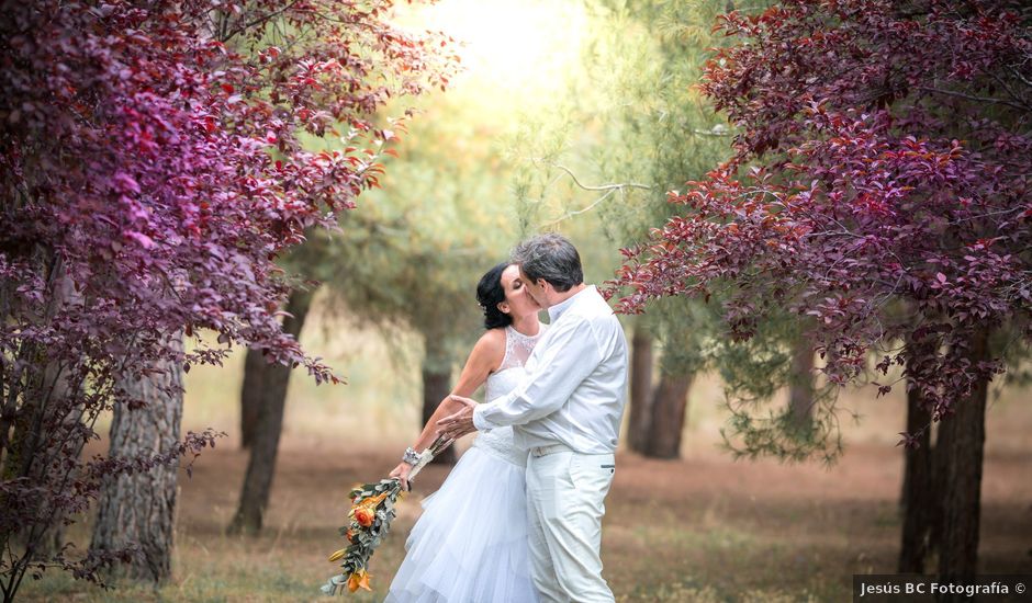 La boda de Javier y Carmen en Requijada, Segovia