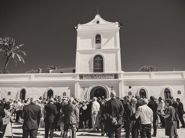 La boda de Fran y María en Conil De La Frontera, Cádiz 37