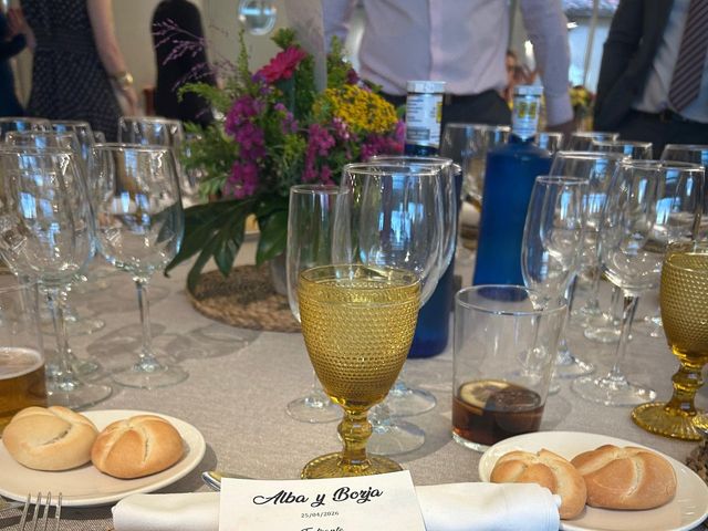 La boda de Borja y Alba en Guadalajara, Guadalajara 5