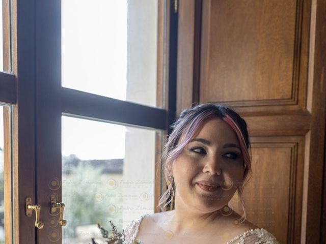 La boda de Adrian y Miriam en Chinchon, Madrid 3