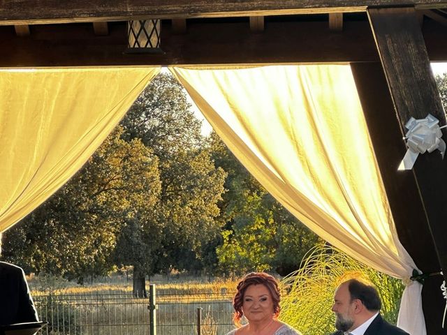 La boda de Fernando y Julia en Collado Villalba, Madrid 2