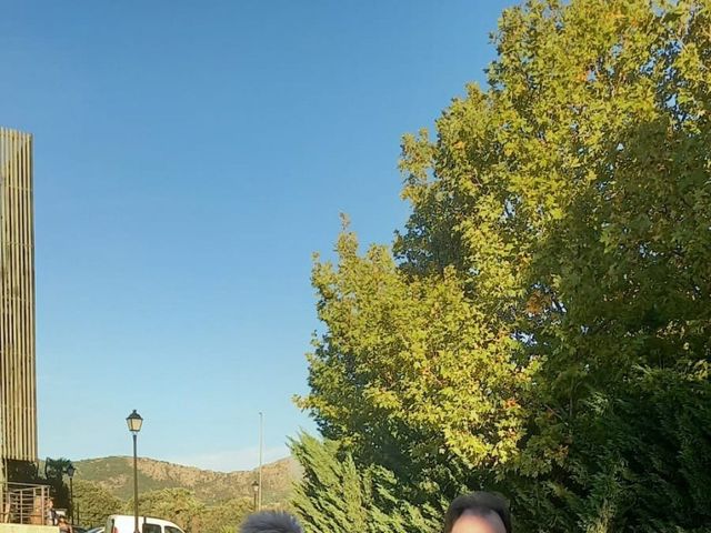 La boda de Fernando y Julia en Collado Villalba, Madrid 6