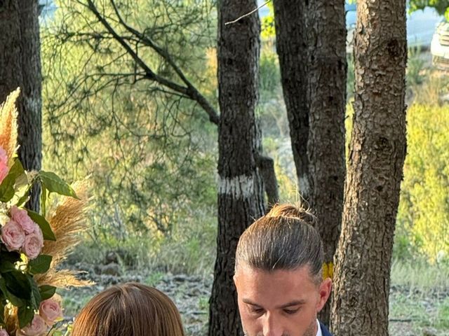 La boda de Jose y Irene en La Senia, Tarragona 6
