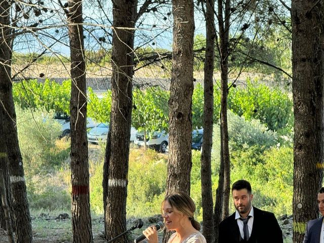 La boda de Jose y Irene en La Senia, Tarragona 7