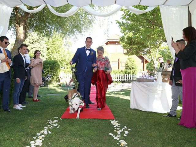 La boda de Andrés y Kitxi  en Salamanca, Salamanca 15