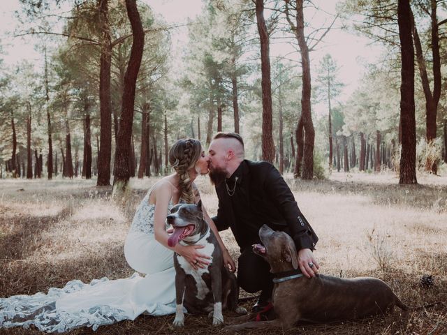 La boda de Miguel y Amanda en Cuellar, Segovia 38