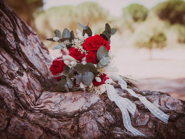 La boda de Aitor y Susana en Pedrajas De San Esteban, Valladolid 2