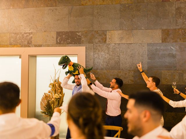 La boda de Luis y Mónica en Alacant/alicante, Alicante 118