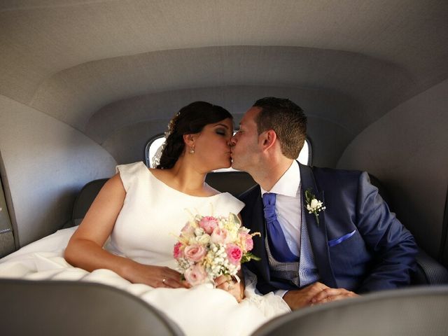 La boda de Victor y Tania en Magan, Toledo 8