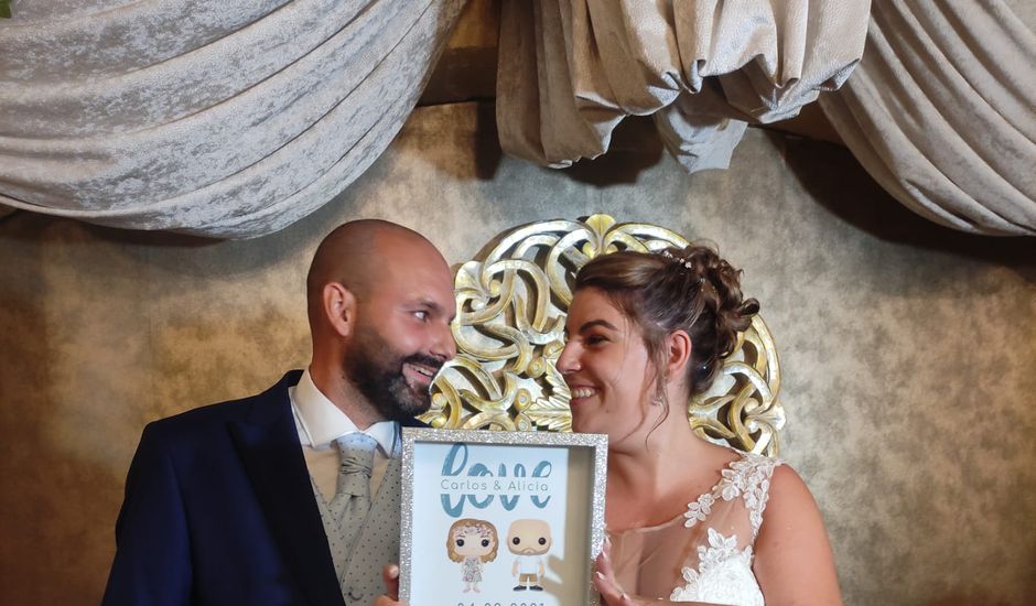 La boda de Carlos y Alicia en Alhaurin El Grande, Málaga