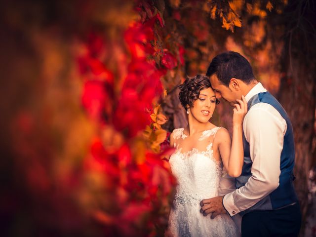 La boda de Ion y Cristina en Ciudad Rodrigo, Salamanca 1