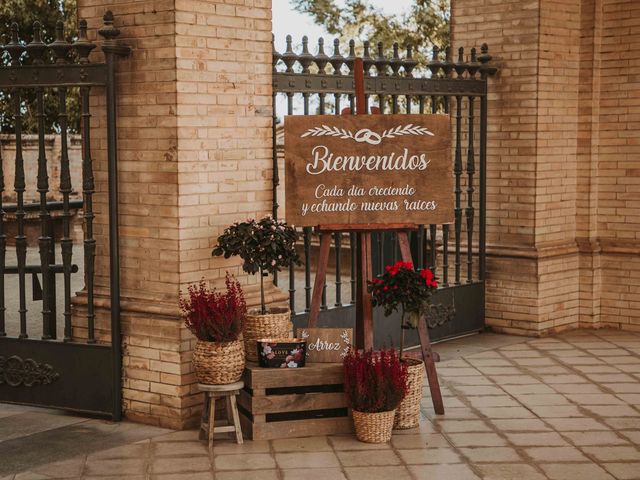 La boda de Carmen y Emilio en Dos Hermanas, Sevilla 16