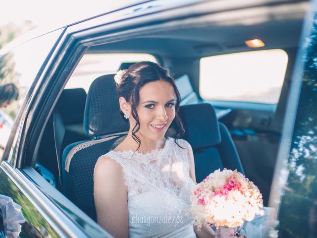 La boda de Rubén  y Carmen en Guadarrama, Madrid 9