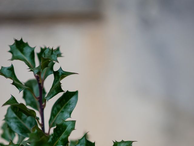 La boda de Marcos y Nuria en Gijón, Asturias 13