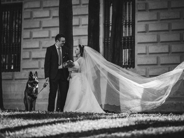 La boda de David Parraga y Olga Janneth Pinzon Lozano en Málaga, Málaga 6