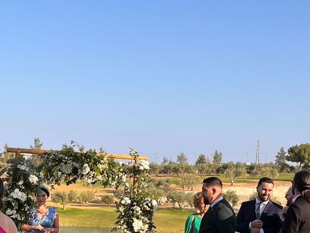 La boda de Alberto y Alicia en Tomares, Sevilla 5