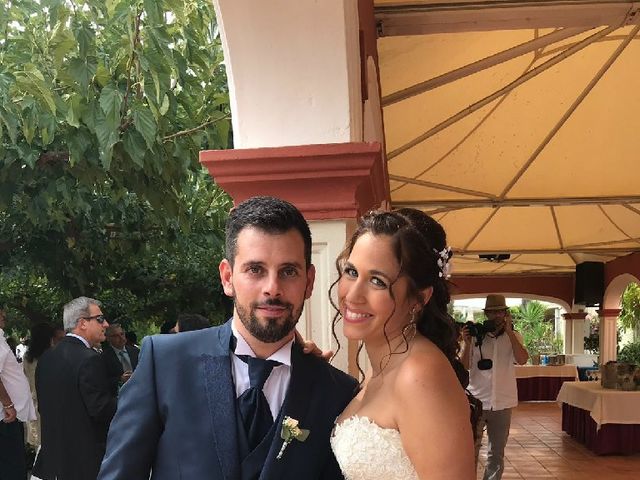 La boda de Jose Manuel y Maria Jose en Potries, Valencia 2