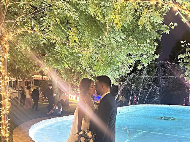 La boda de Carlos  y Lidia en Villarrobledo, Albacete 3