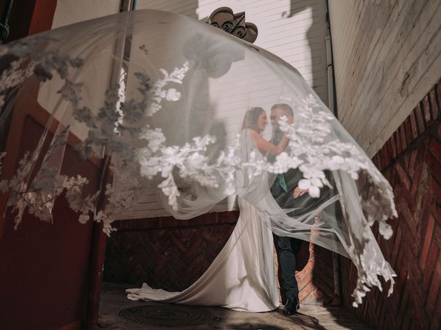 La boda de Miguel y Rocio en Alcala De Guadaira, Sevilla 20