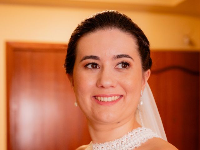 La boda de Fran y Paula en Segovia, Segovia 19