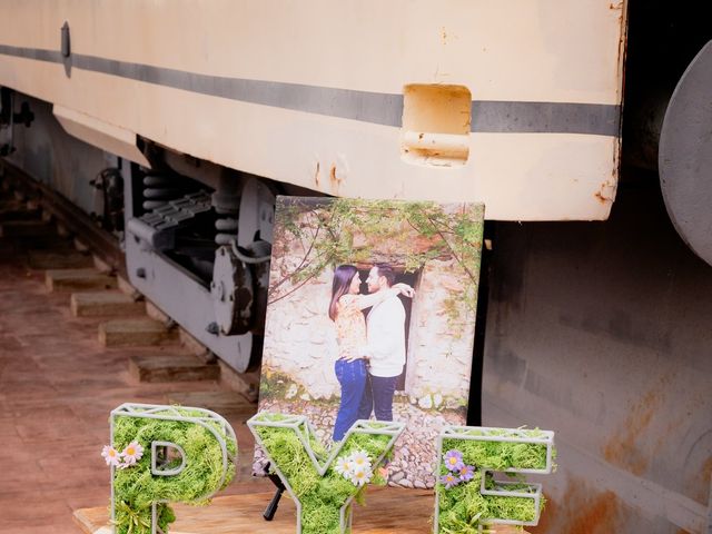 La boda de Fran y Paula en Segovia, Segovia 36
