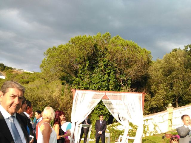 La boda de Javi y Sara en Sant Cebria De Vallalta, Barcelona 10