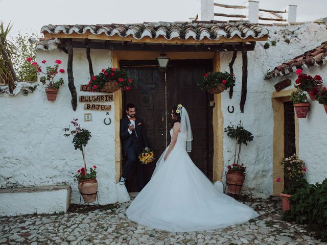 La boda de Carlos y Agri en Pulgarin Alto Y Bajo, Málaga 46