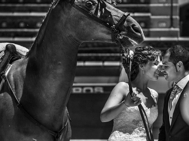 La boda de Fran y Lucía en Aceuchal, Badajoz 37