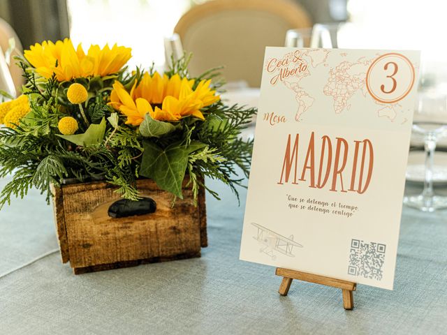 La boda de Alberto y Cecilia en Las Rozas De Madrid, Madrid 23