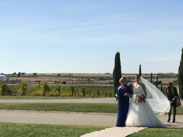 La boda de Cristian y Cristina en Barbastro, Huesca 13