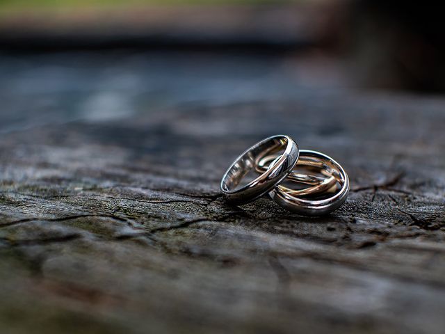 La boda de Ignacio y Elena en Campillo De Ranas, Guadalajara 4