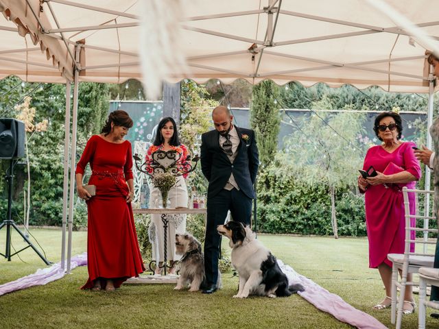 La boda de David y Guiomar en Badajoz, Badajoz 39