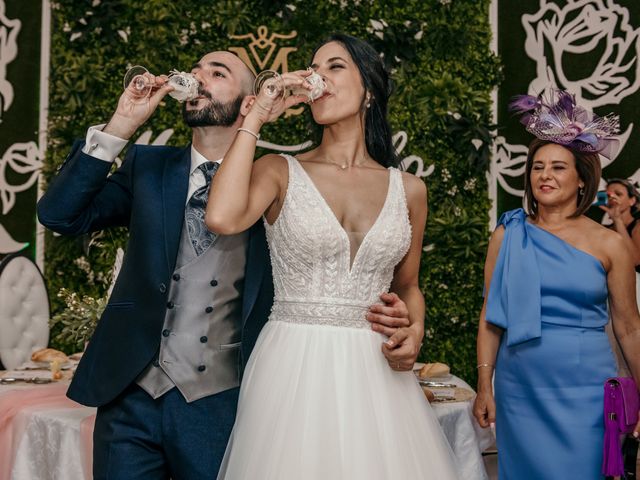 La boda de David y Guiomar en Badajoz, Badajoz 146