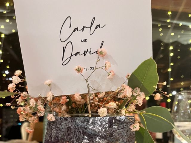La boda de David  y Carla  en Sant Vicenç De Montalt, Barcelona 18