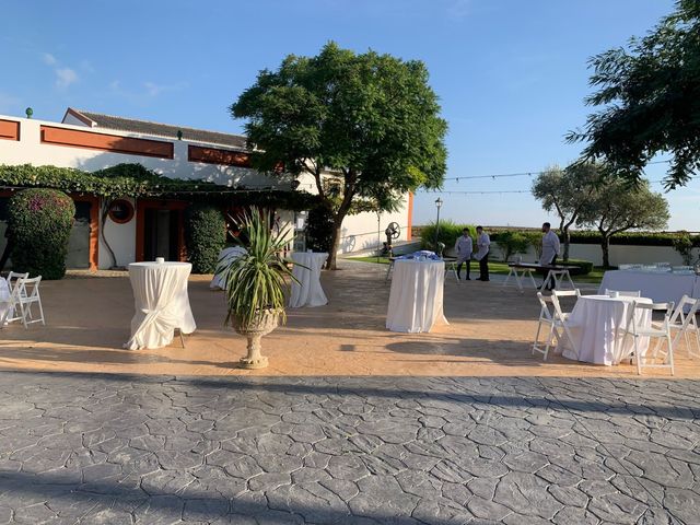 La boda de Jose Antonio y Patricia en Jerez De La Frontera, Cádiz 6