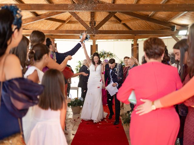 La boda de Pedro y Alicia en Olula Del Rio, Almería 14