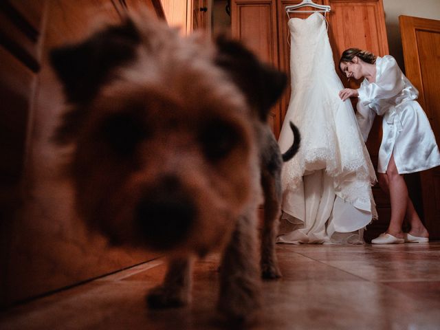 La boda de Jony y María en Conil De La Frontera, Cádiz 38