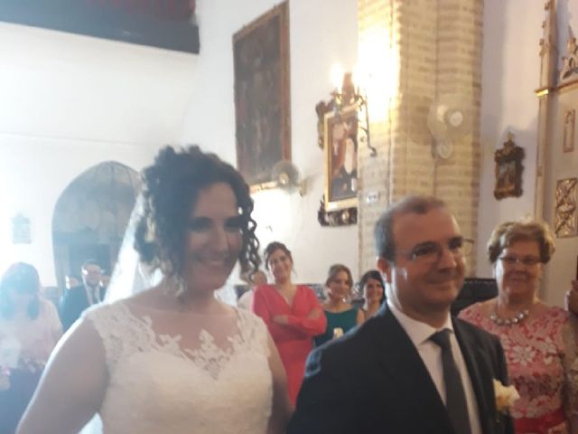 La boda de Álvaro  y Mariángeles  en La Puebla Del Rio, Sevilla 8