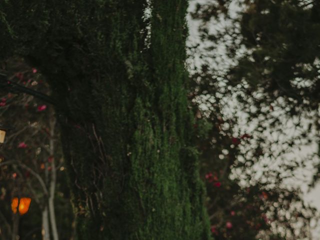 La boda de Rafael y Tamara en Jerez De La Frontera, Cádiz 22