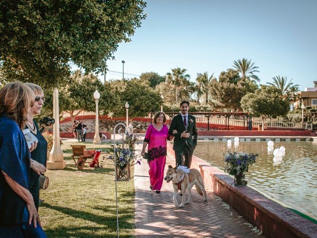 La boda de Laura y Alejandro en Elx/elche, Alicante 84