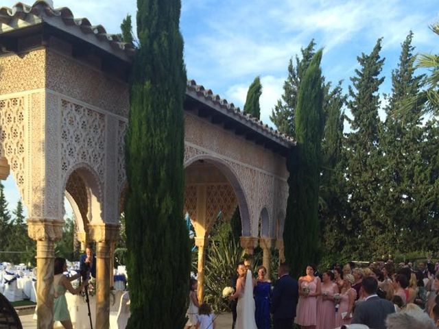La boda de Jose Antonio y Samantha en Alhaurin El Grande, Málaga 10