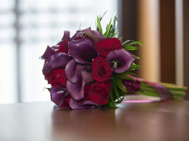 La boda de Héctor y Iris en Vilalba, Lugo 6