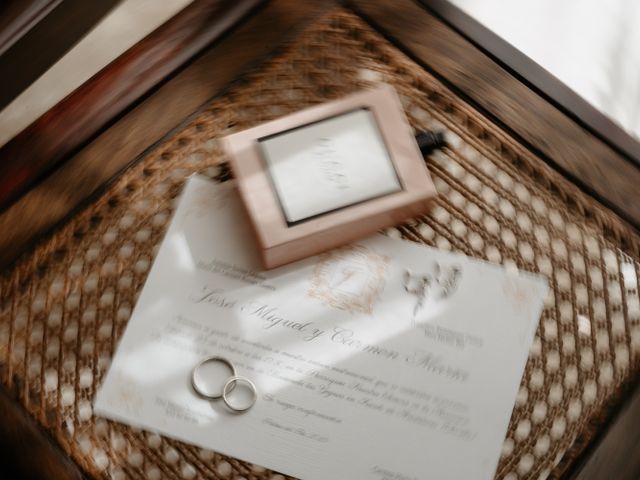 La boda de Miguel y Carmen en Palma Del Rio, Córdoba 1